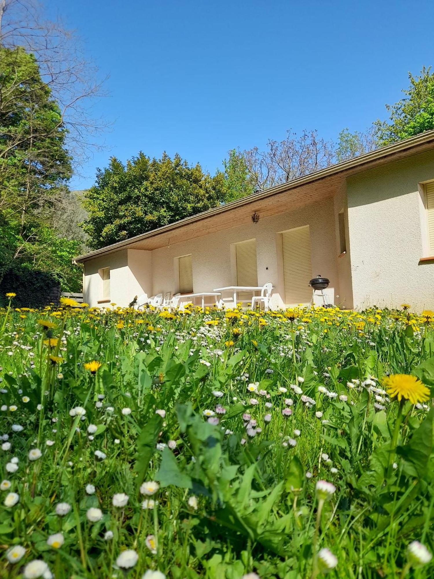 Gites Du Quie Les Cabannes  Exteriör bild